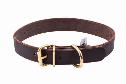 Obroża Skórzana 32-36 cm 20 mm