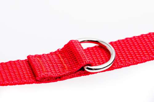 7e448a977c911e607a1ea25cf578eec8