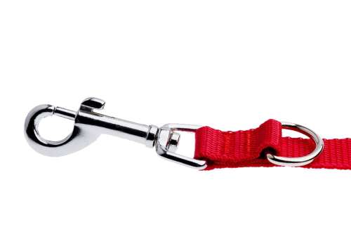 af5fa124562f3d9b05ea8503447a359e