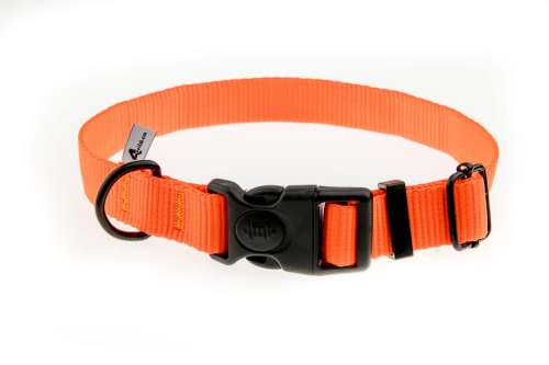 Obroża z taśmy 20 mm neonowa pomarańcza 25-35 cm