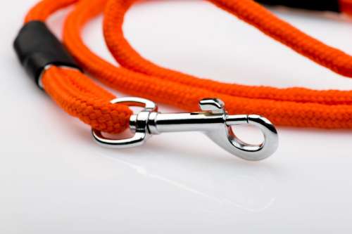 b2a896188884206fa12e421d3425dd87