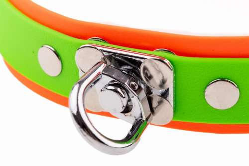 obroża tropowa 38mm krętlik.jpg