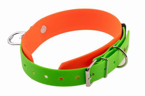 obroża tropowa 38mm.jpg