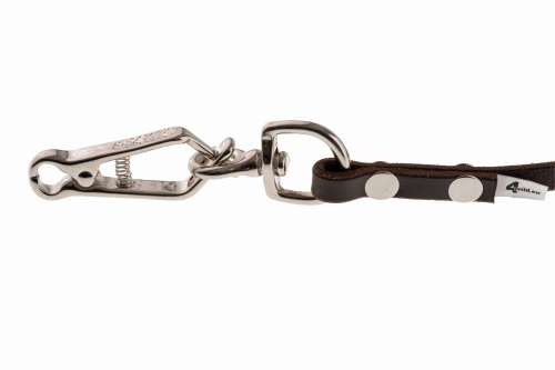 karabinczyk nożycowy.jpg