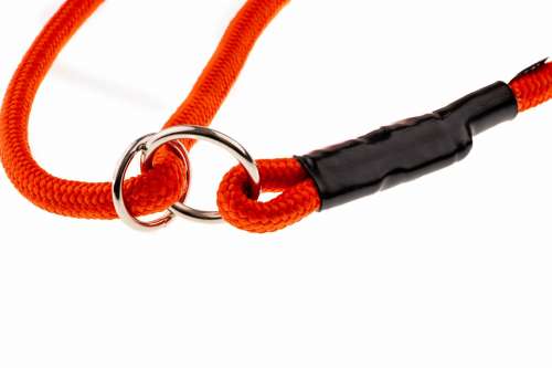 smycz na polowanie.jpg